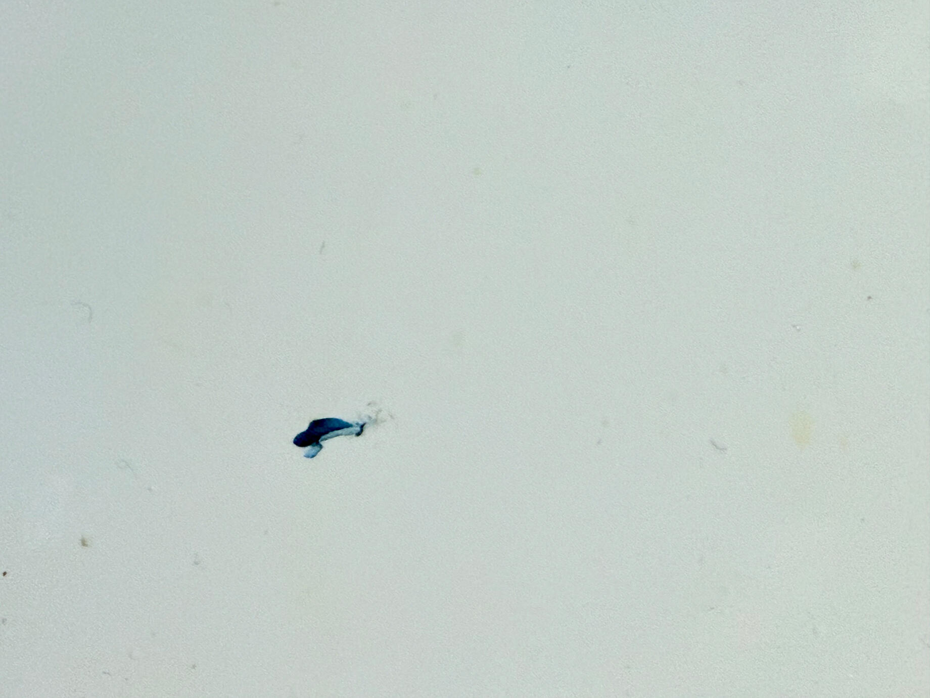 La peinture s’achève, la cuisine commence; sur les carreaux, j’aperçois des empreintes de couleur - prolongement inconscient du geste pictural, 2025.